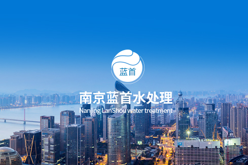 罗庄建站-南京蓝首水处理设备有限公司