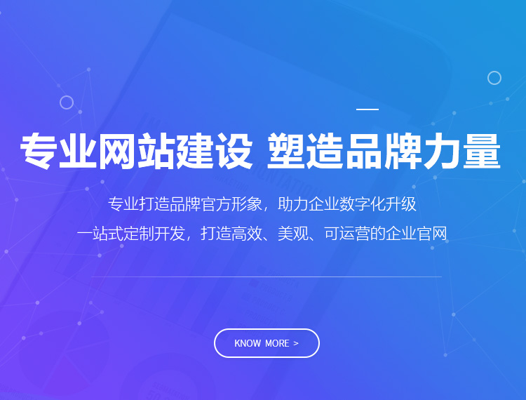 临沂建站-专业网站建设 塑造品牌力量